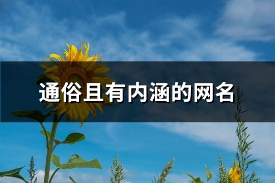 通俗且有内涵的网名(749个)