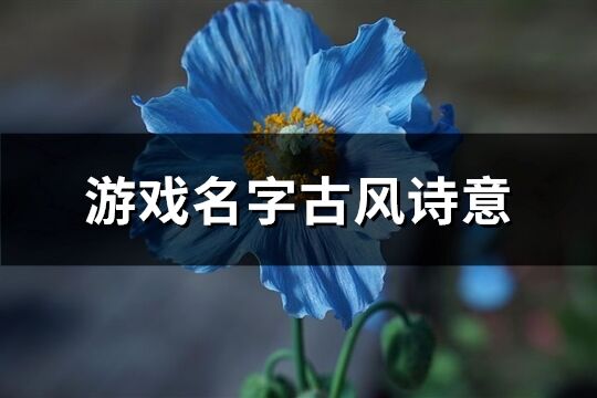 游戏名字古风诗意(共693个)