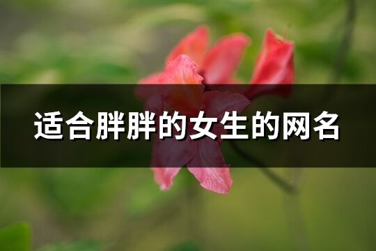 适合胖胖的女生的网名(精选430个)