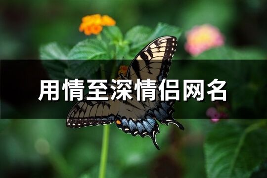 用情至深情侣网名(共110个)