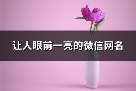 让人眼前一亮的微信网名(精选222个)