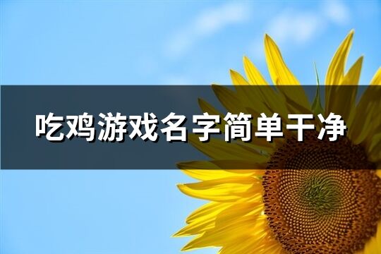 吃鸡游戏名字简单干净(共565个)