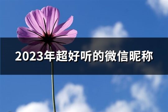 2023年超好听的微信昵称(精选961个)