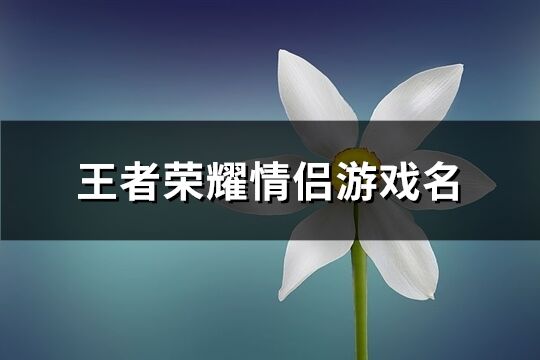 王者荣耀情侣游戏名(共135个)