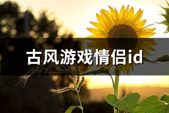 古风游戏情侣id(精选154个)