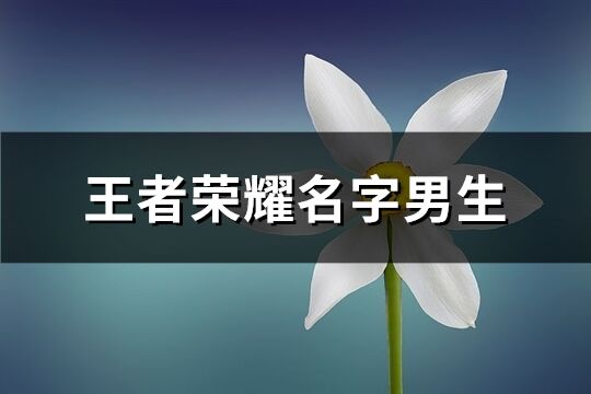 王者荣耀名字男生(精选481个)