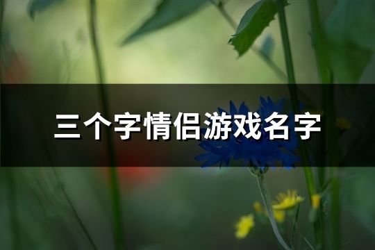 三个字情侣游戏名字(共107个)