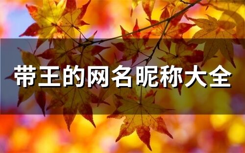 带王的网名昵称大全(精选97个)