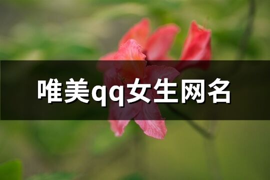 唯美qq女生网名(共224个)