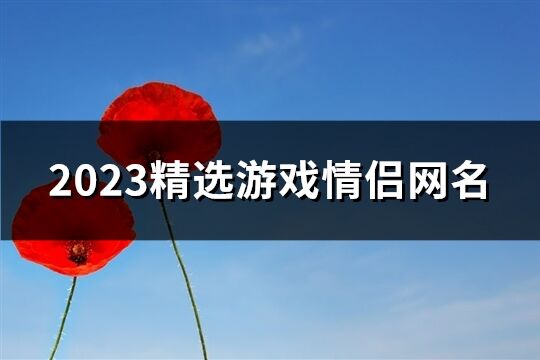 2023精选游戏情侣网名(共419个)