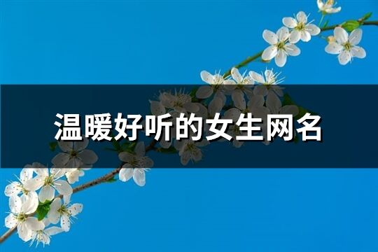 温暖好听的女生网名(精选496个)