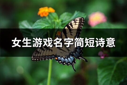 女生游戏名字简短诗意(精选575个)