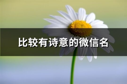 比较有诗意的微信名(共341个)