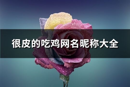 很皮的吃鸡网名昵称大全(共432个)