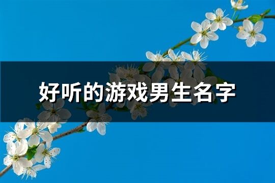 好听的游戏男生名字(共672个)