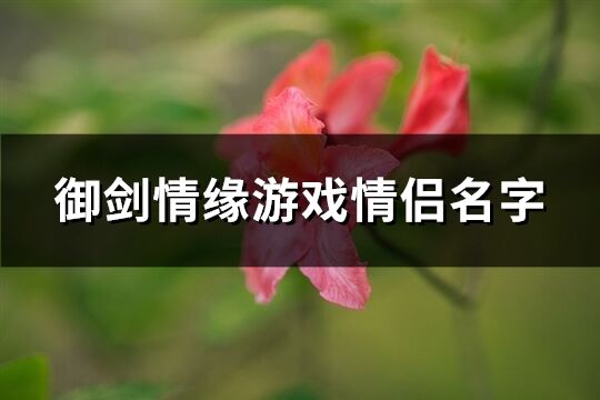 御剑情缘游戏情侣名字(119个)