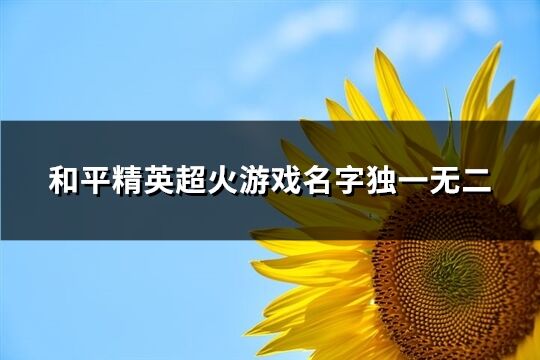 和平精英超火游戏名字独一无二(660个)