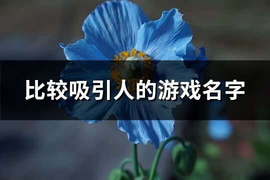 比较吸引人的游戏名字(共638个)