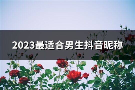 2023最适合男生抖音昵称(共441个)