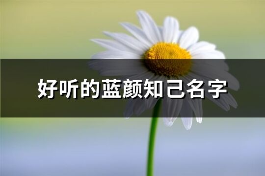 好听的蓝颜知己名字(共72个)