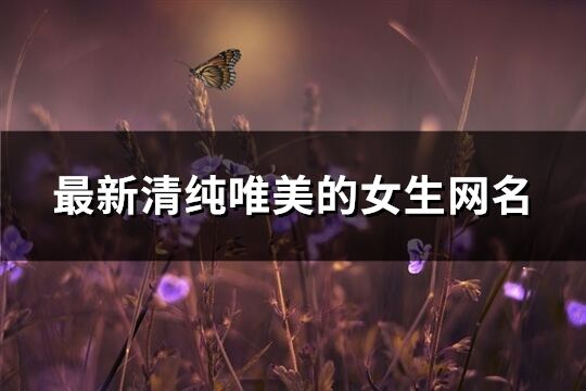 最新清纯唯美的女生网名(199个)