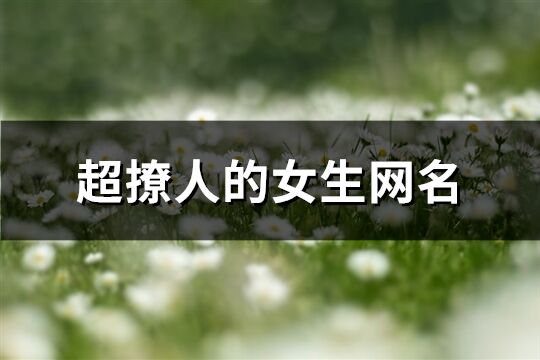 超撩人的女生网名(共553个)