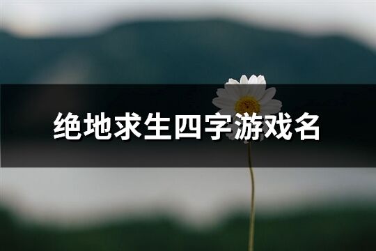 绝地求生四字游戏名(共746个)