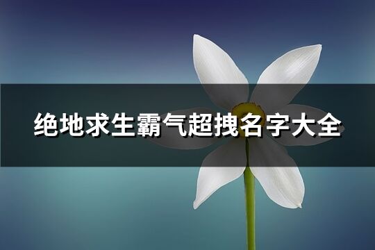 绝地求生霸气超拽名字大全(594个)