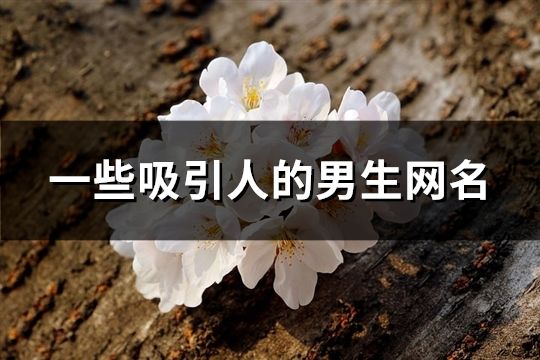 一些吸引人的男生网名(185个)