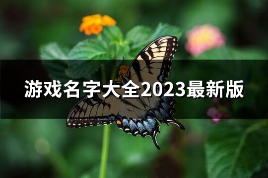 游戏名字大全2023最新版(精选583个)