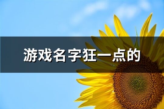 游戏名字狂一点的(共179个)