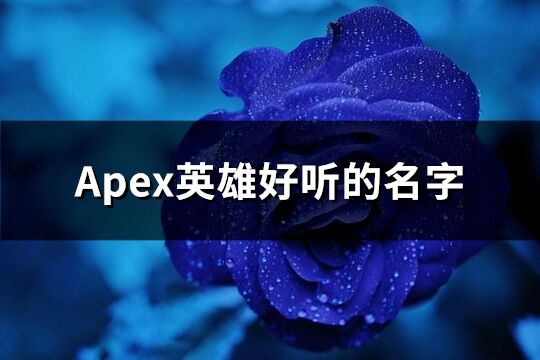 Apex英雄好听的名字(共298个)