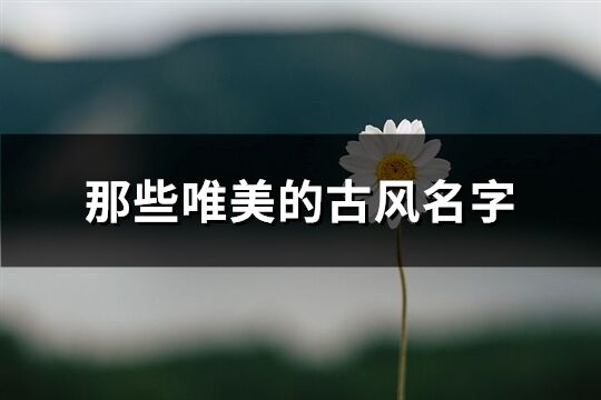 那些唯美的古风名字(共284个)