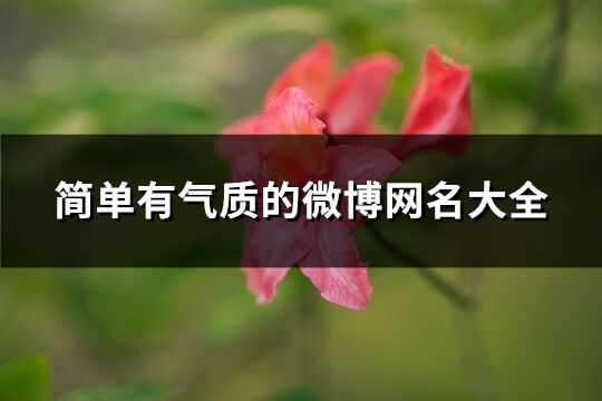 简单有气质的微博网名大全(精选491个)