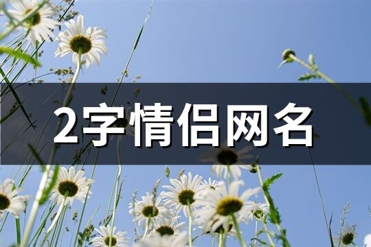 2字情侣网名(共267个)