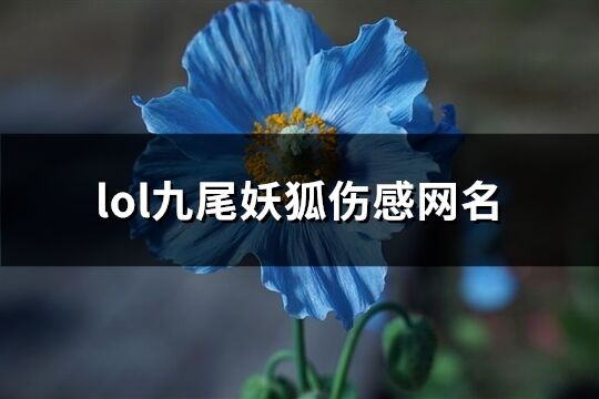 lol九尾妖狐伤感网名(共133个)