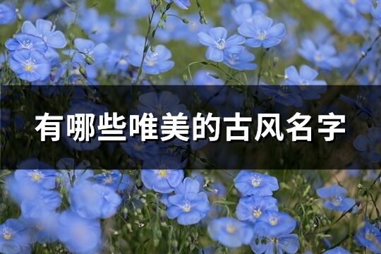 有哪些唯美的古风名字(共137个)