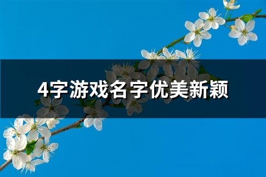 4字游戏名字优美新颖(共508个)