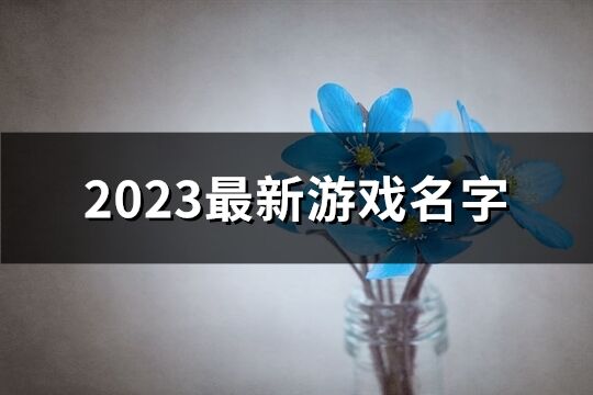 2023最新游戏名字(共965个)