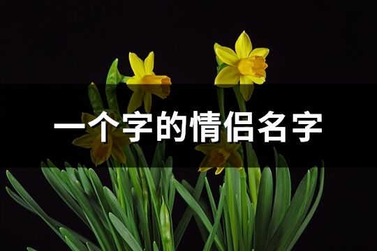 一个字的情侣名字(共93个)