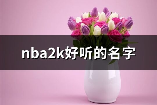 nba2k好听的名字(共121个)