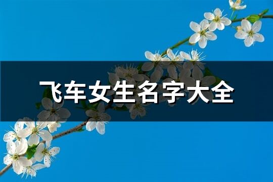 飞车女生名字大全(共156个)