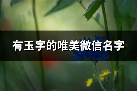 有玉字的唯美微信名字(共91个)