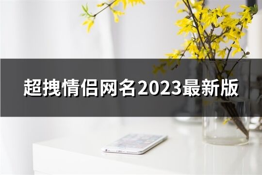 超拽情侣网名2023最新版(327个)