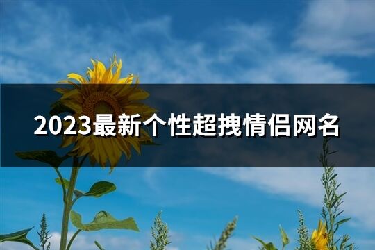 2023最新个性超拽情侣网名(共251个)