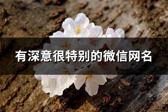 有深意很特别的微信网名(共151个)