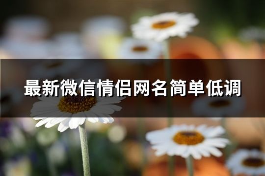 最新微信情侣网名简单低调(192个)