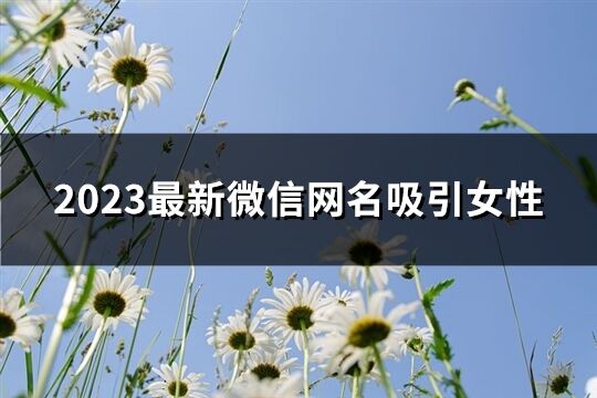 2023最新微信网名吸引女性(精选994个)