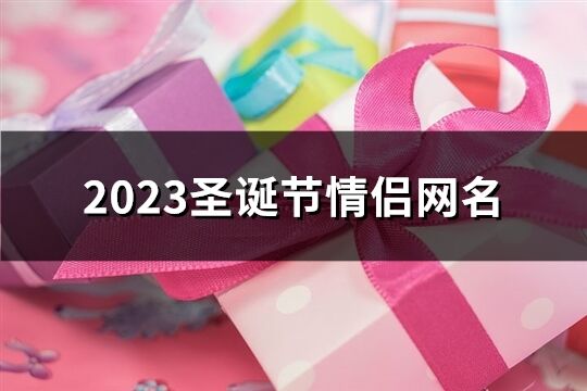 2023圣诞节情侣网名(精选345个)