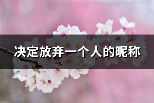 决定放弃一个人的昵称(共405个)